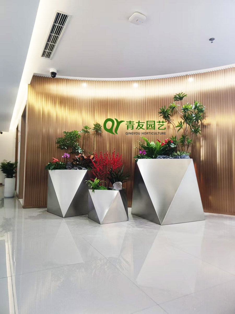 高端接待大厅组合绿植造景案例项目现场图片