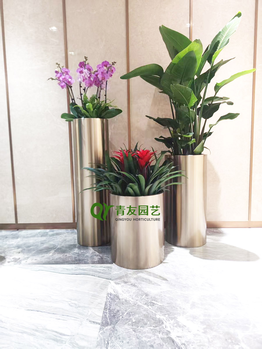 高端商务空间金属花器绿植造景案例项目现场图片