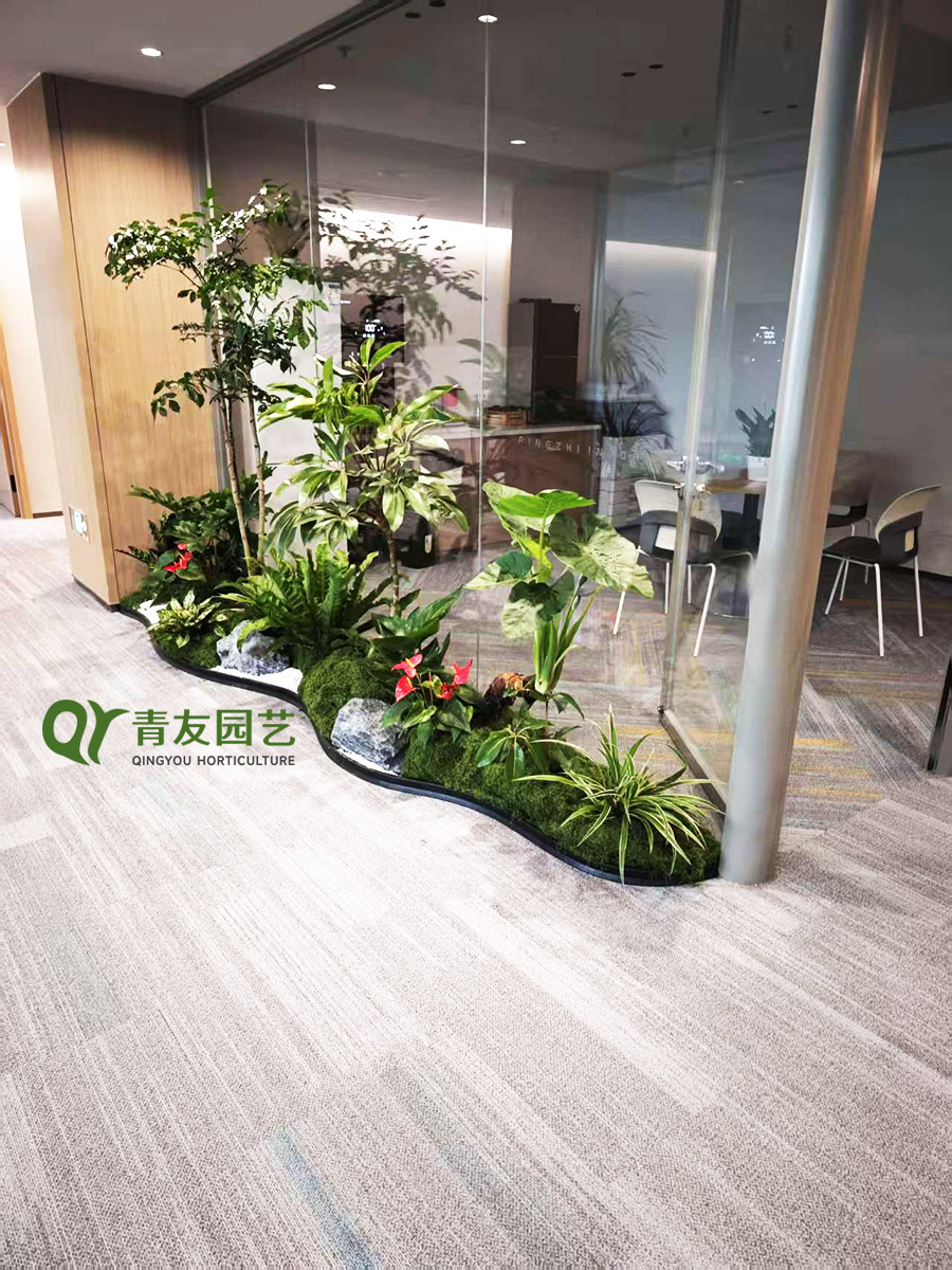 办公室玻璃隔断生态绿植造景案例项目现场图片