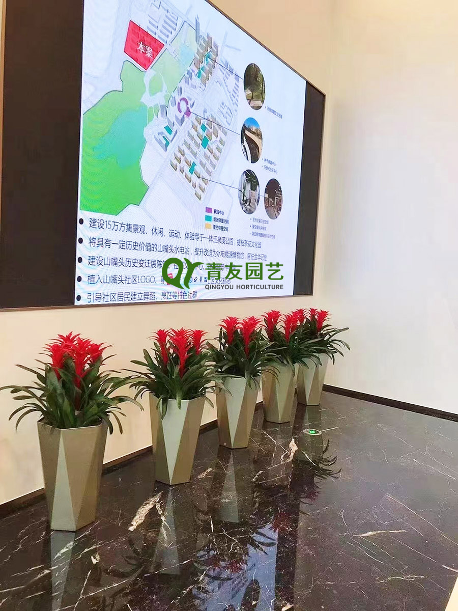 展厅导视走廊重复式绿植布置案例项目现场图片