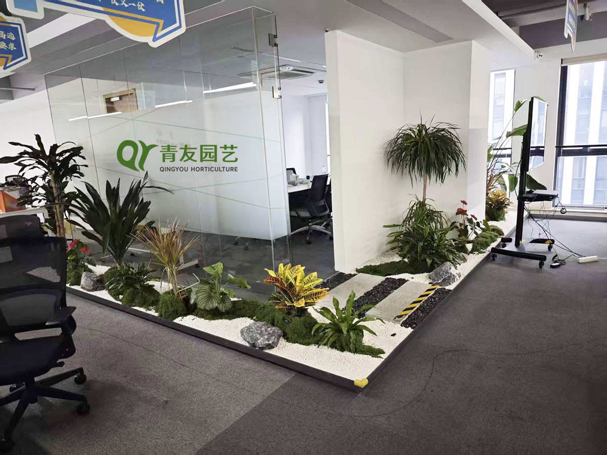 办公区通道组合绿植景观案例项目现场图片