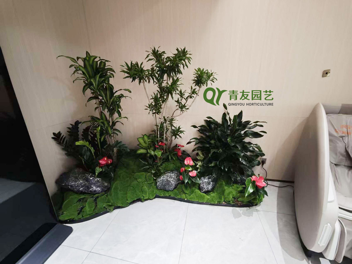办公空间转角绿植小景案例项目现场图片