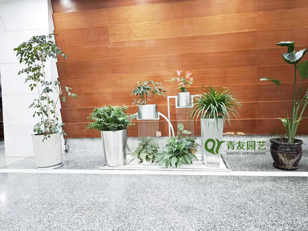 企业前厅木饰面背景绿植案例项目现场图片