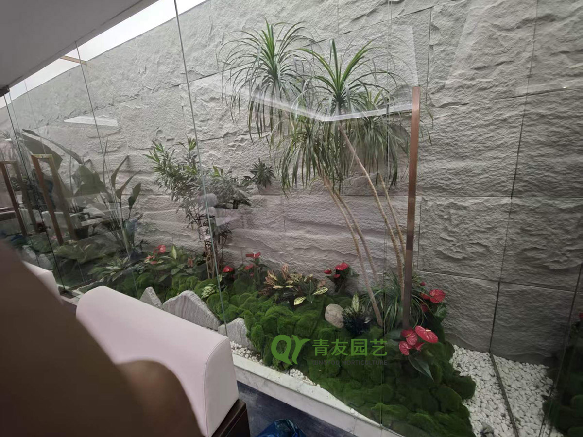 办公区玻璃采光带室内绿植景观案例项目现场图片