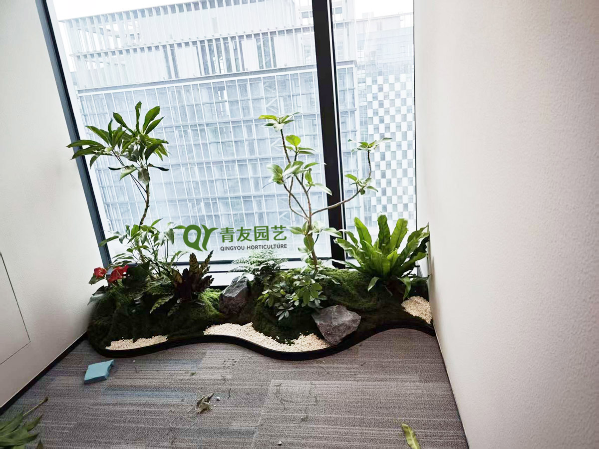 办公区窗边自然绿植造景案例项目现场图片