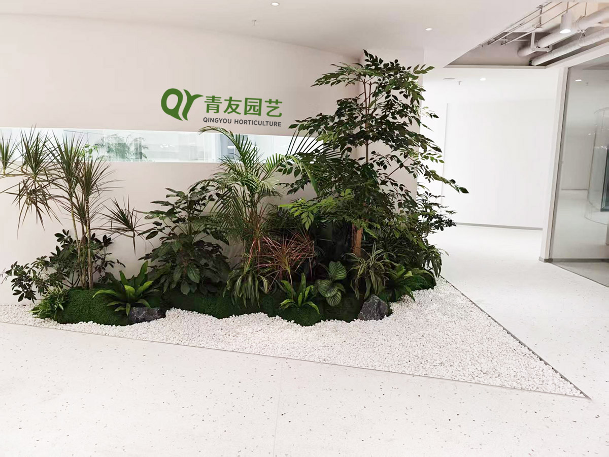 企业大厅大型绿植景观案例项目现场图片