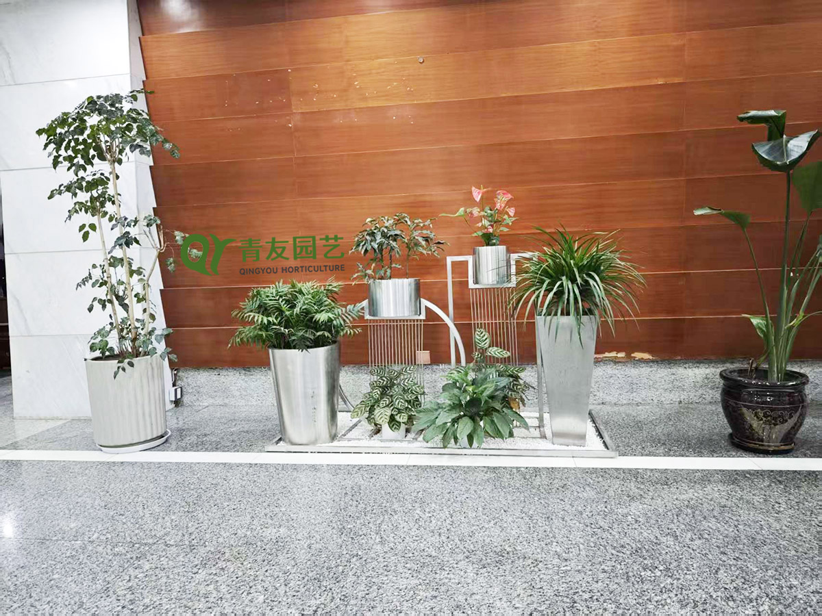 企业前厅木质背景绿植案例项目现场图片