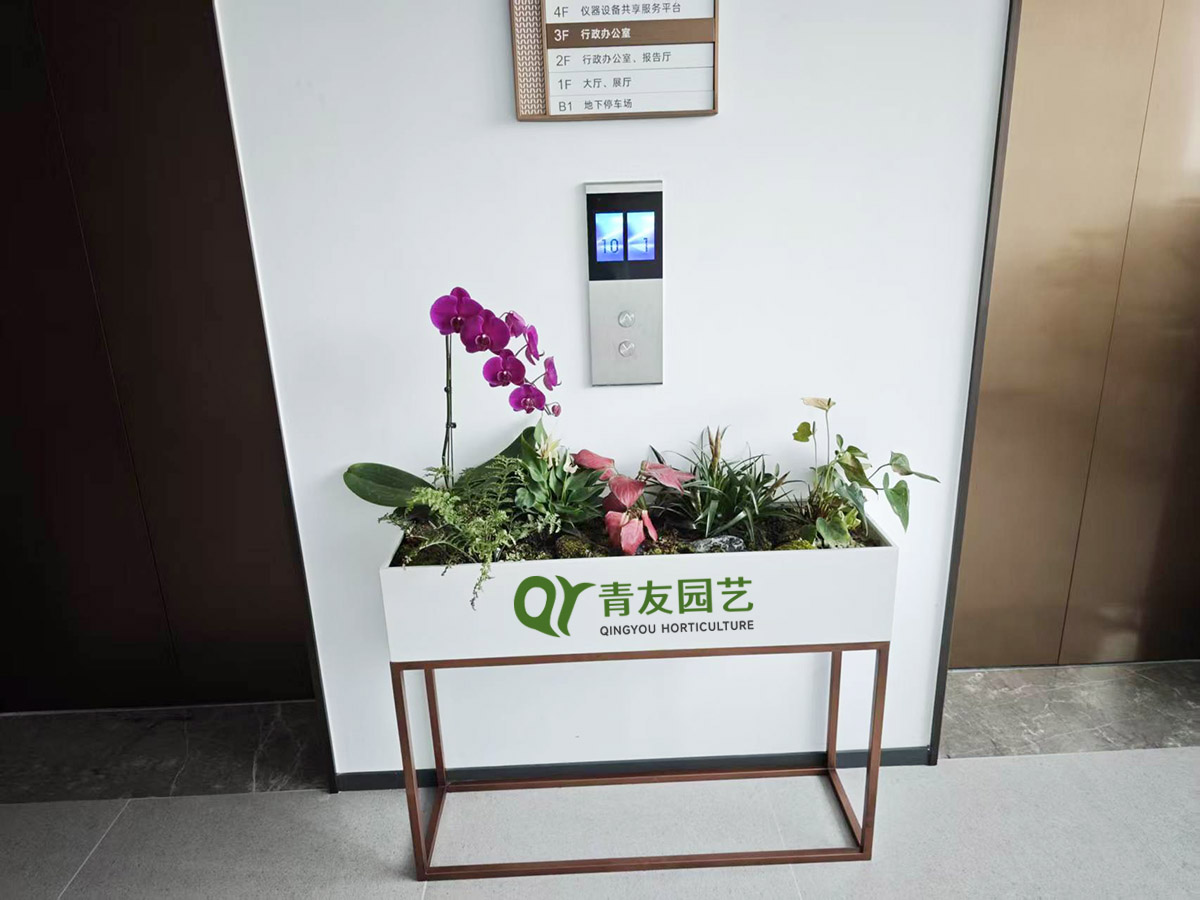 电梯厅桌面花艺绿植案例项目现场图片