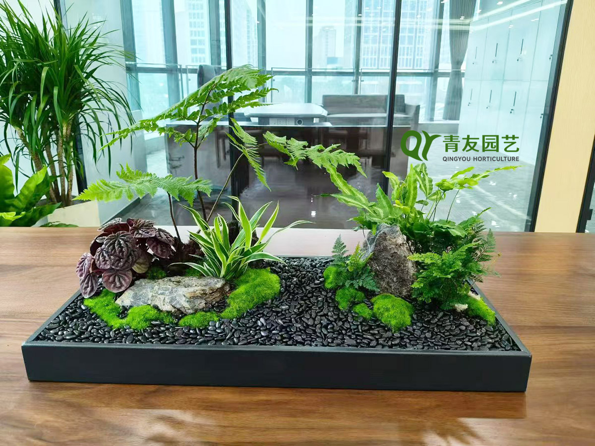 办公桌面自然微景观案例项目现场图片