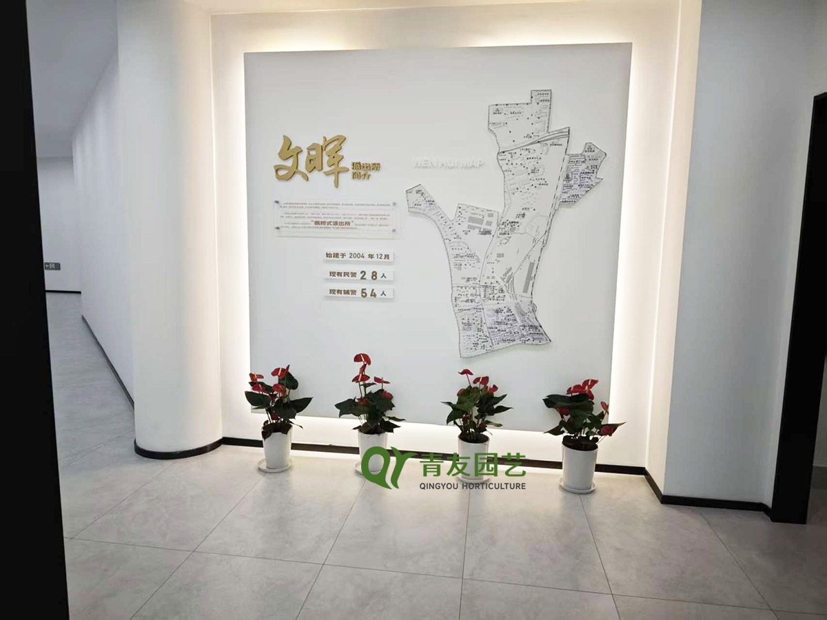 展厅入口导视绿植布置案例项目现场图片