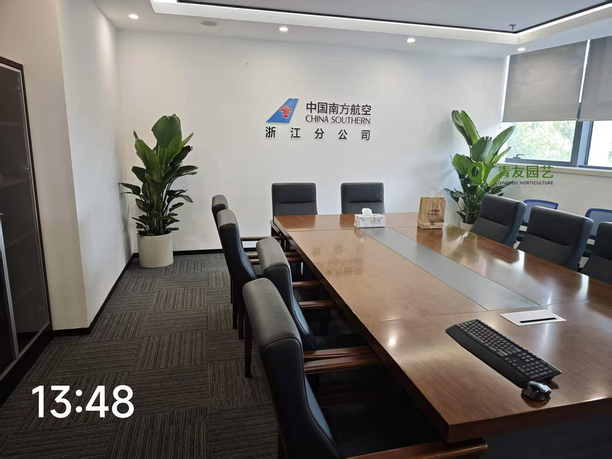 企业会议室接待区绿植布置案例项目现场图片
