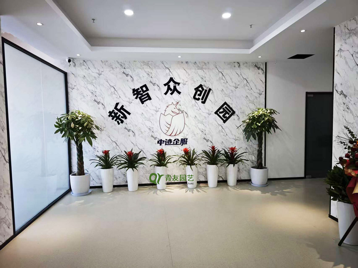 企业品牌形象墙前厅绿植案例项目现场图片