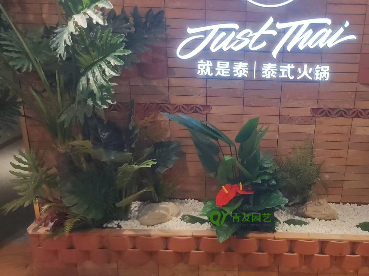 餐饮门店热带风格绿植景观案例项目现场图片