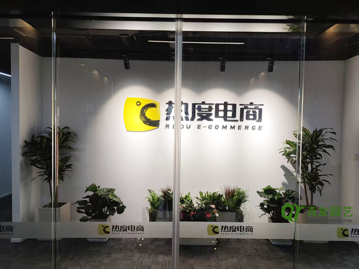 企业玻璃前厅品牌墙绿植案例项目现场图片