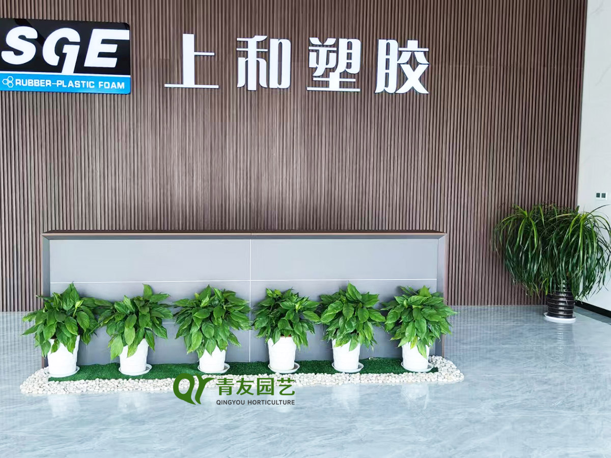 企业品牌墙线性绿植案例项目现场图片