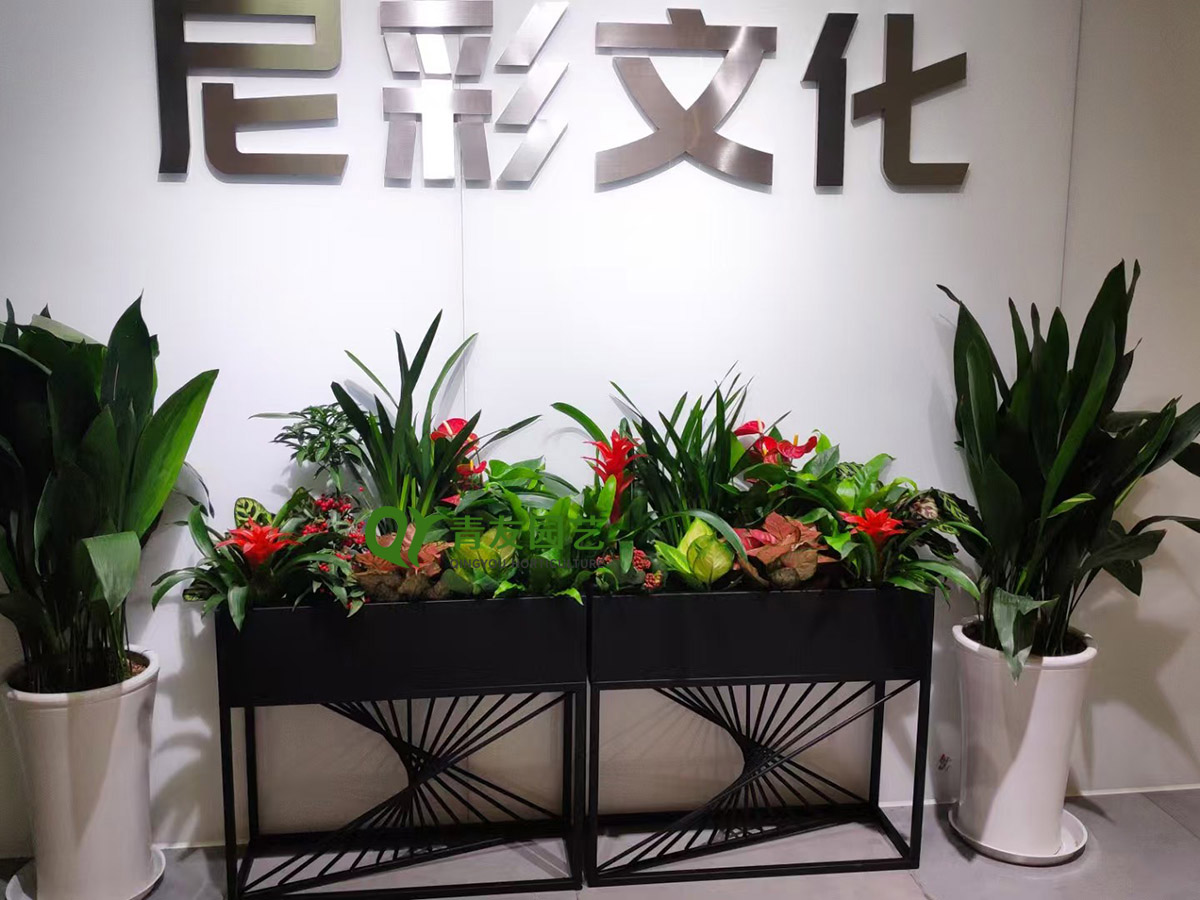 文化企业前厅花艺绿植案例项目现场图片