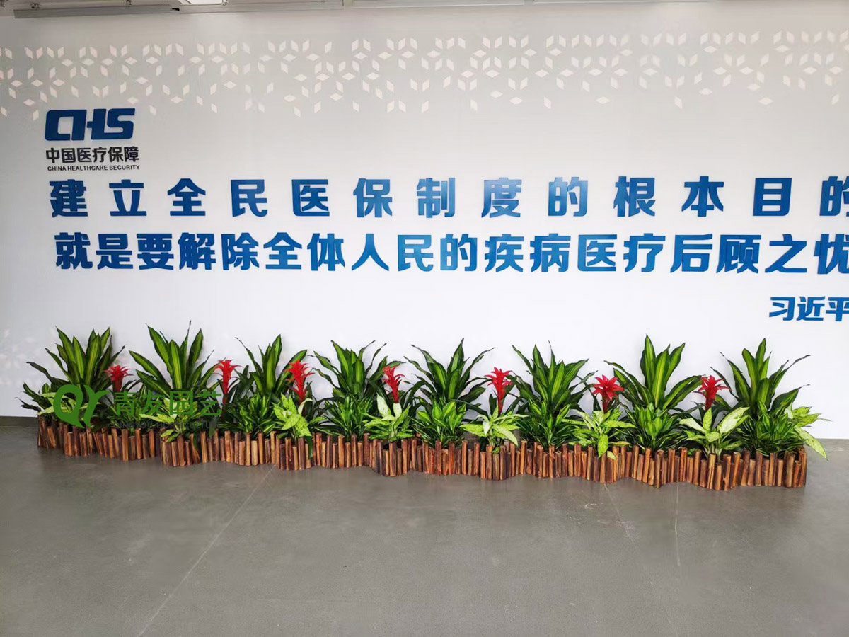 公共服务大厅线性绿植景观案例项目现场图片