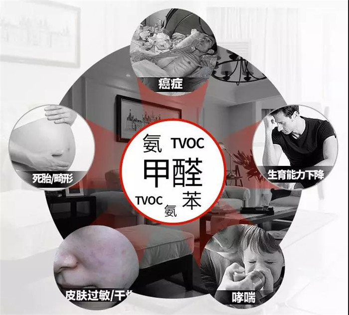 杭州办公室摆放什么绿植可以除甲醛？